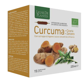CURCUMA CICORIA ZENZERO BIO 15 AMPOLLE BEVIBILI DA 15 ML - pharmaluna
