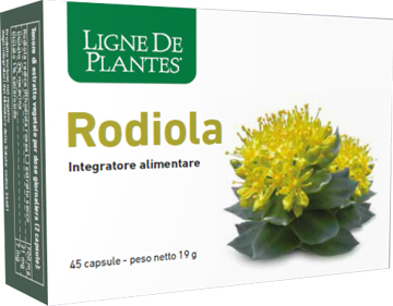 RODIOLA 45 CAPSULE - pharmaluna