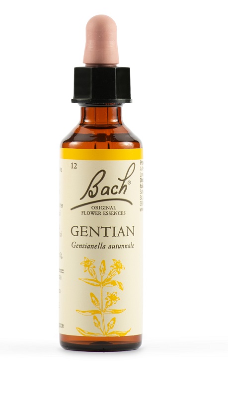 GENTIAN BACH ORIG 20 ML - pharmaluna