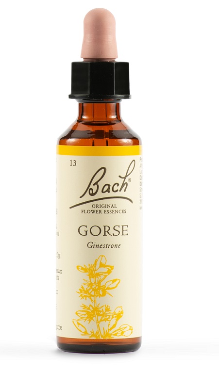 GORSE BACH ORIG 20 ML - pharmaluna