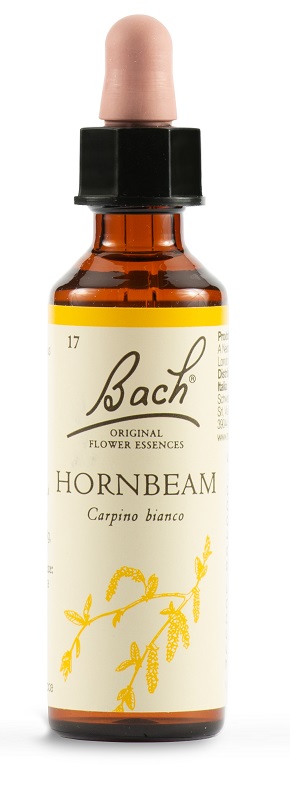 HORNBEAM BACH ORIG 20 ML - pharmaluna