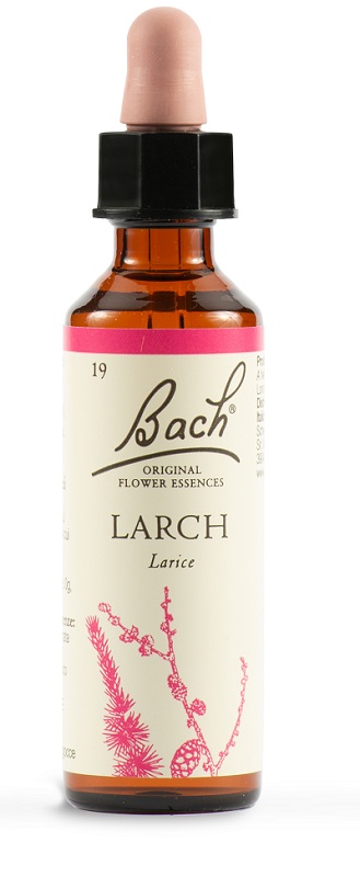 LARCH BACH ORIG 20 ML - pharmaluna