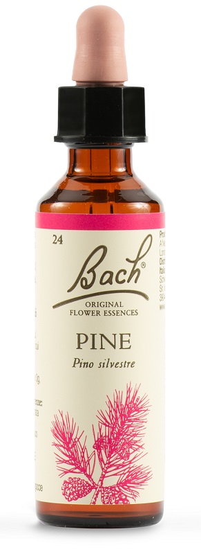 PINE BACH ORIG 20 ML - pharmaluna