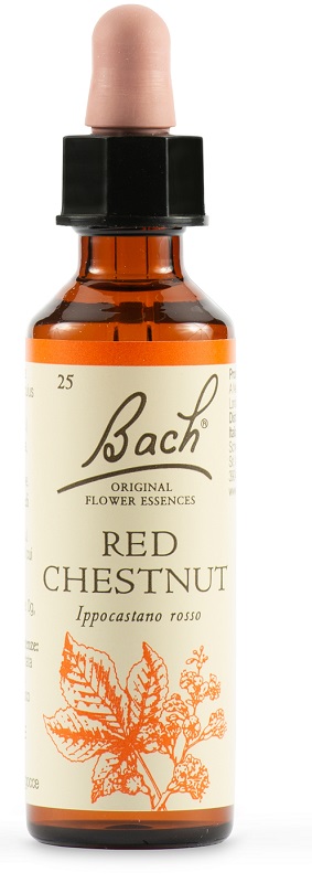 RED CHESTNUT BACH ORIG 20 ML - pharmaluna