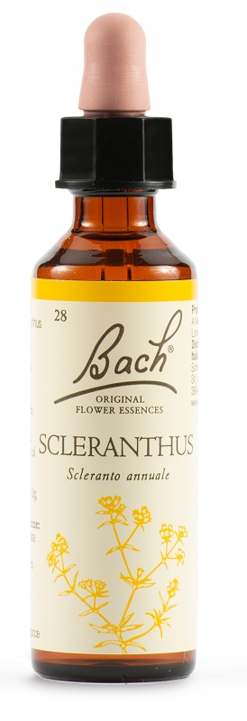 SCLERANTUS BACH ORIG 20 ML - pharmaluna