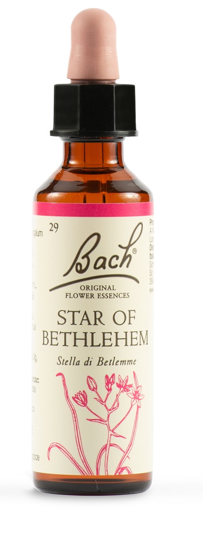STAR OF BETHL ORIG 20 ML - pharmaluna