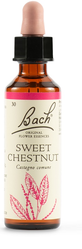 SWEET CHEST BACH ORIG 20 ML - pharmaluna