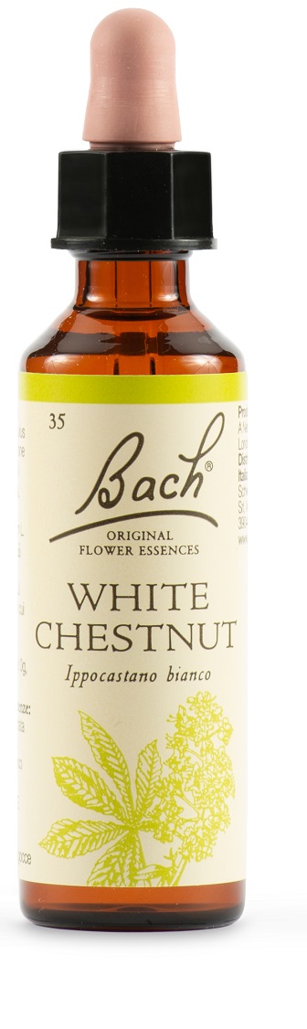 WHITE CHEST BACH ORIG 20 ML - pharmaluna