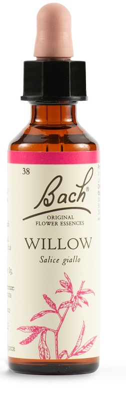 WILLOW BACH ORIG 20 ML - pharmaluna