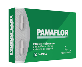 PAMAFLOR 100 20 CAPSULE - pharmaluna
