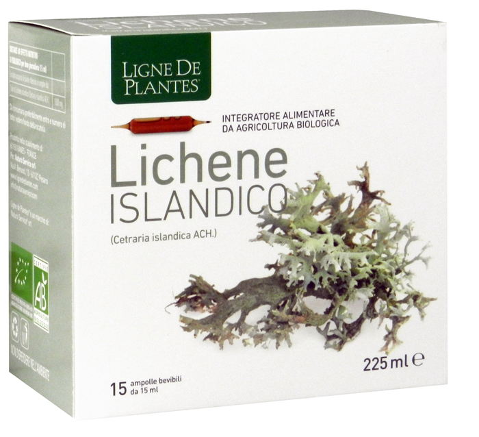 LIGNE DE PLANTES LICHENE ISLANDICO 15 AMPOLLE X 15 ML - pharmaluna