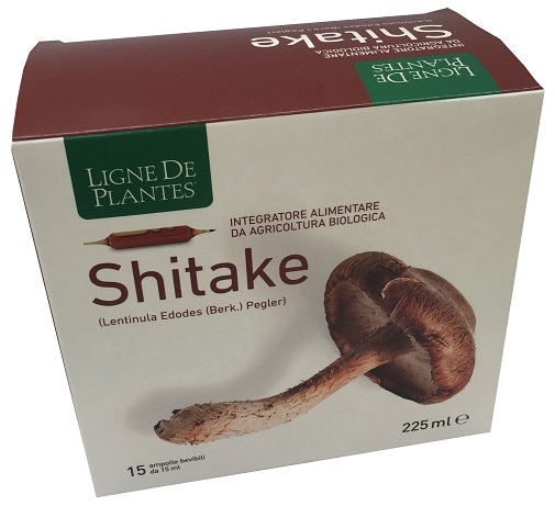 LIGNE DE PLANTES SHITAKE BIO 15 AMPOLLE DA 15 ML - pharmaluna