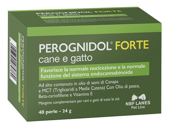 PEROGNIDOL FORTE PERLE - pharmaluna