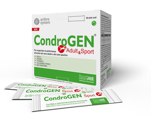 CONDROGEN ADULT&SPORT 60 STICK - pharmaluna