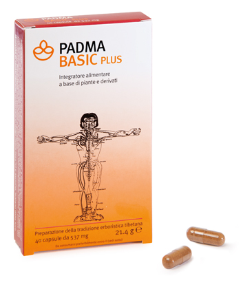 PADMA BASIC PLUS 40 CAPSULE - pharmaluna