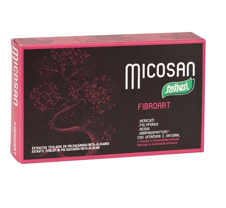 MICOSAN FIBROART 40 CAPSULE - pharmaluna
