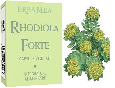 RHODIOLA FORTE 24 CAPSULE - pharmaluna
