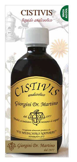 CISTIVIS 500 ML LIQUIDO ANALCOLICO - pharmaluna