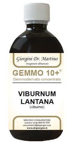 VIBURNO LIQUIDO ANALCOLICO GEMMO 10+ 500 ML - pharmaluna