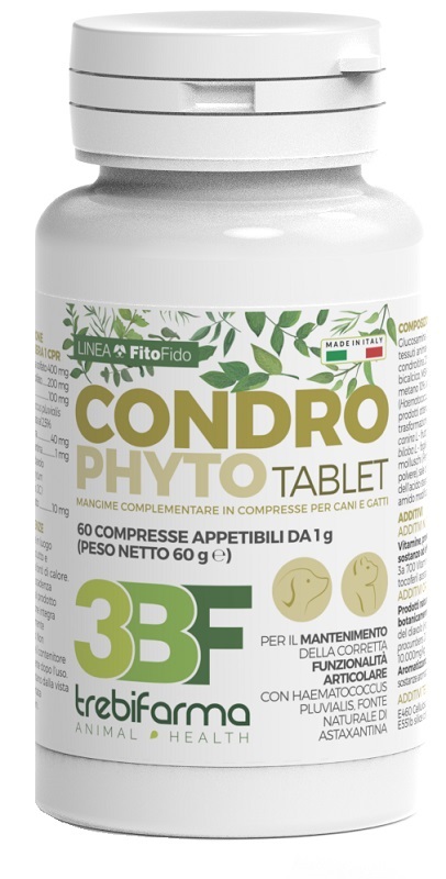 CONDROPHYTO 60 COMPRESSE DA 1 G - pharmaluna