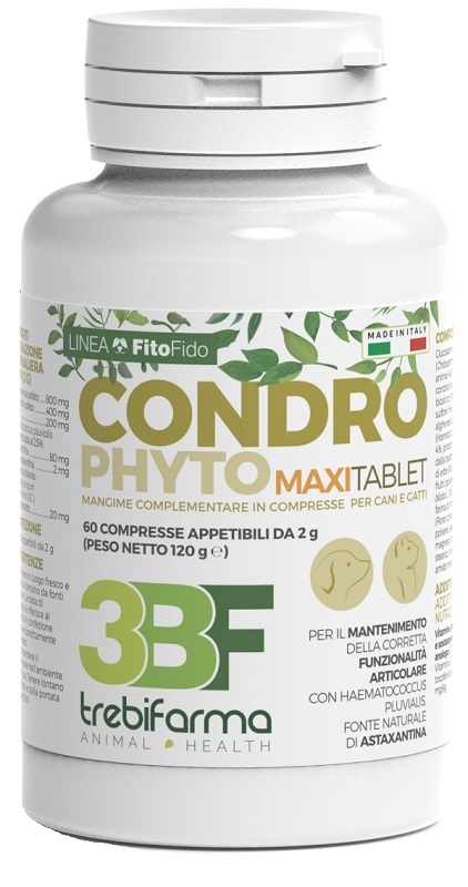 CONDROPHYTO 60 COMPRESSE 2 G - pharmaluna