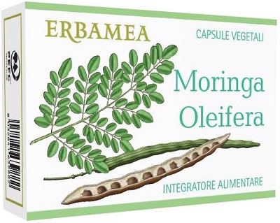 MORINGA OLEIFERA 24 CAPSULE - pharmaluna