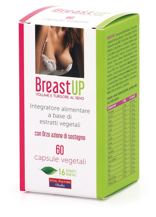 BREAST UP 60 CAPSULE - pharmaluna