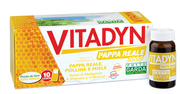 VITADYN PAPPA REALE 1000 10 FLACONCINI 10 ML - pharmaluna