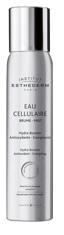 INSTI EAU CELLULAIRE BRUME 100 ML - pharmaluna