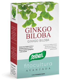 GINKGO BILOBA 40 CAPSULE - pharmaluna