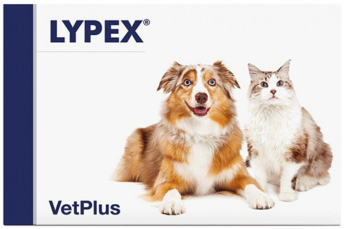 LYPEX 60 CAPSULE - pharmaluna