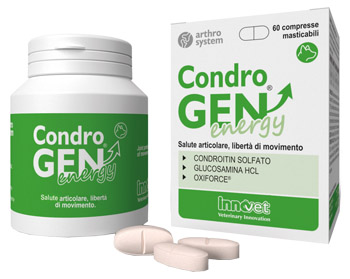 CONDROGEN ENERGY 60 COMPRESSE MASTICABILI - pharmaluna