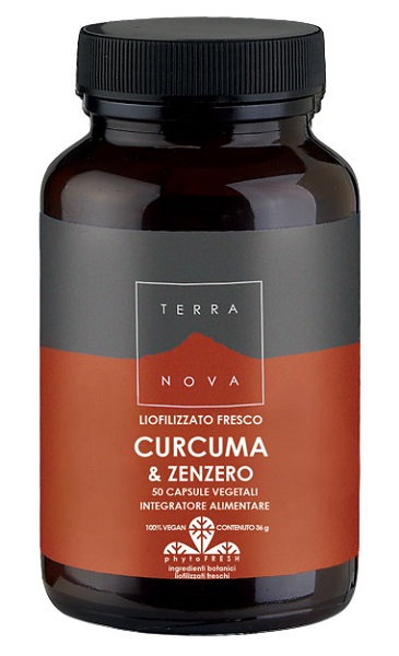 TERRANOVA CURCUMA 400MG/ZENZERO 200MG 50 CAPSULE - pharmaluna