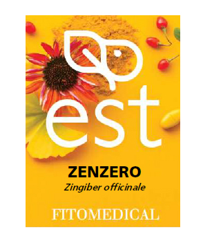 ZENZERO ESTRATTO SECCO 60 TAVOLETTE - pharmaluna