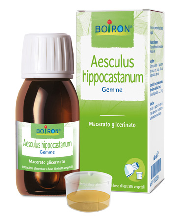 AESCULUS HIPP BOIRON MACERATO GLICERICO 60 ML - pharmaluna