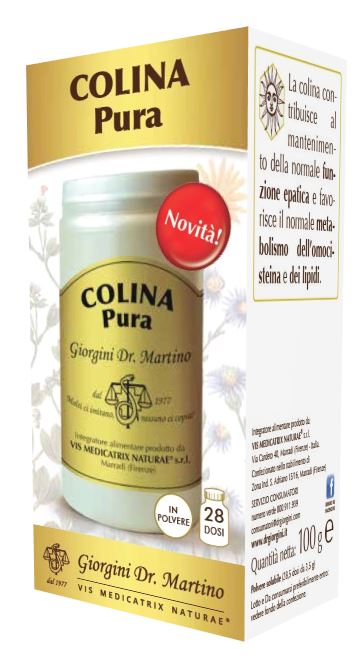COLINA PURA POLVERE SOLUBILE 100 G - pharmaluna