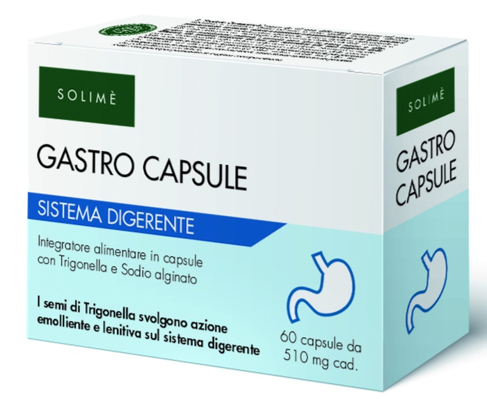 GASTRO CAPSULE 60 CAPSULE - pharmaluna