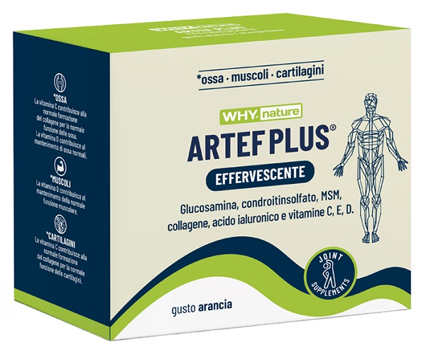 WHYNATURE ARTEF PLUS 24 BUSTINE - pharmaluna