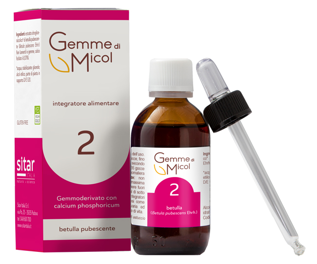 GEMME DI MICOL SOLUZIONE IDROGLICERALCOLICA 2 30 ML - pharmaluna