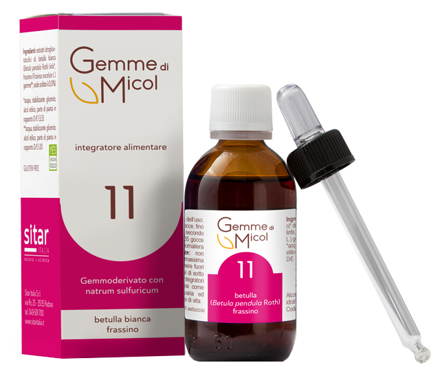 GEMME DI MICOL SOLUZIONE IDROGLICERALCOLICA 11 30 ML - pharmaluna
